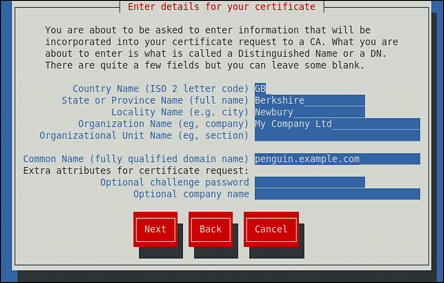 Specifying certificate information