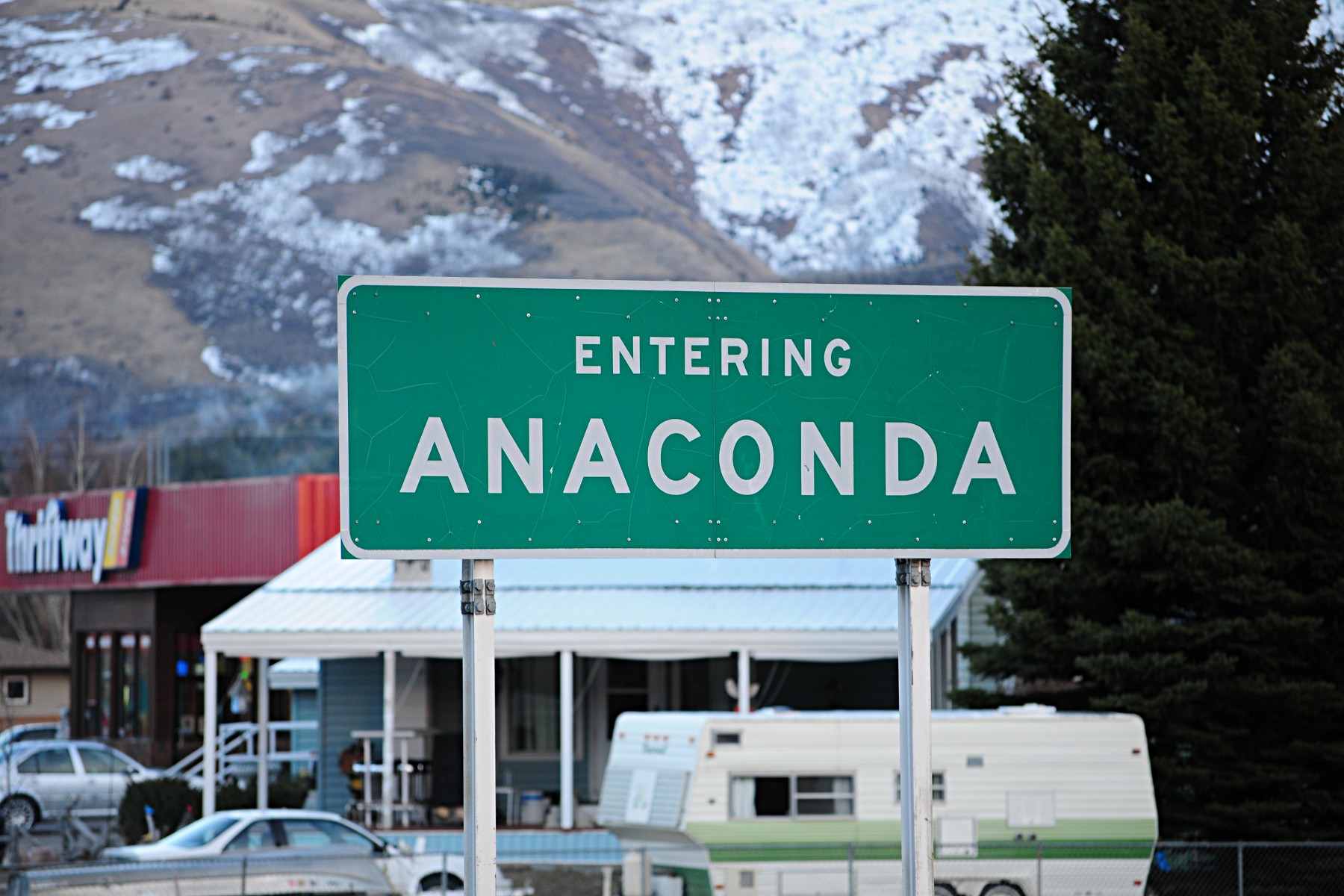 Anaconda